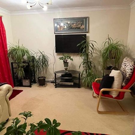 Cozy Homestay Croydon Luaran gambar