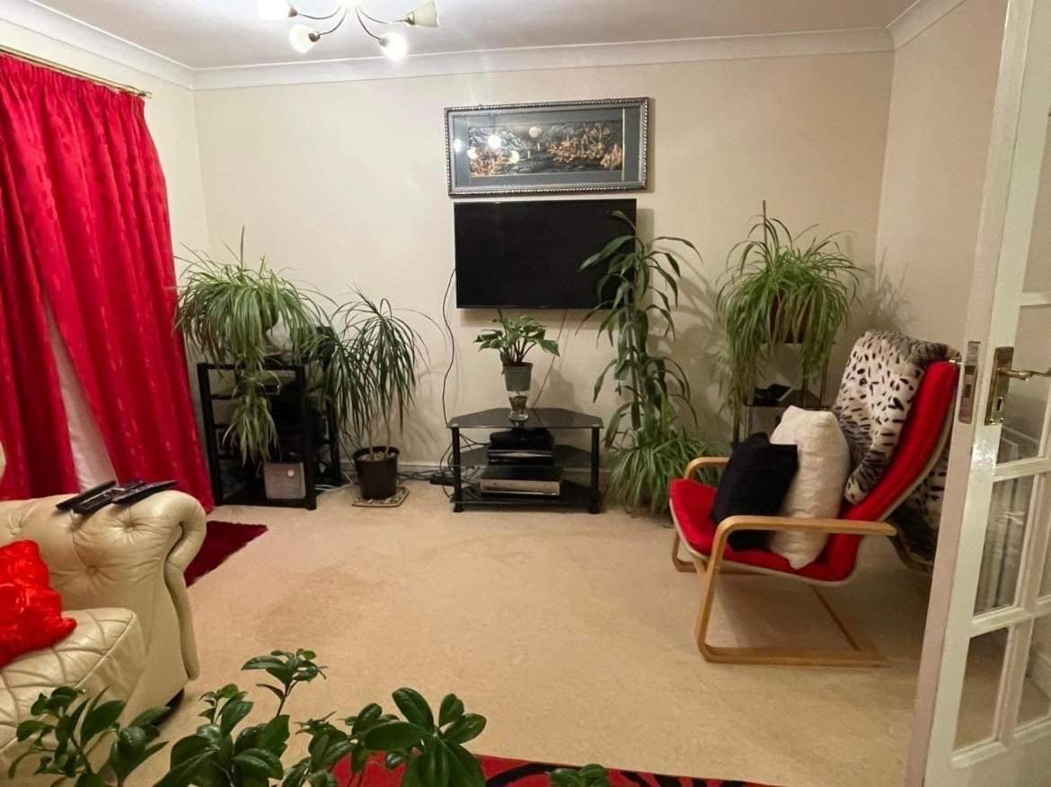 Cozy Homestay Croydon Luaran gambar