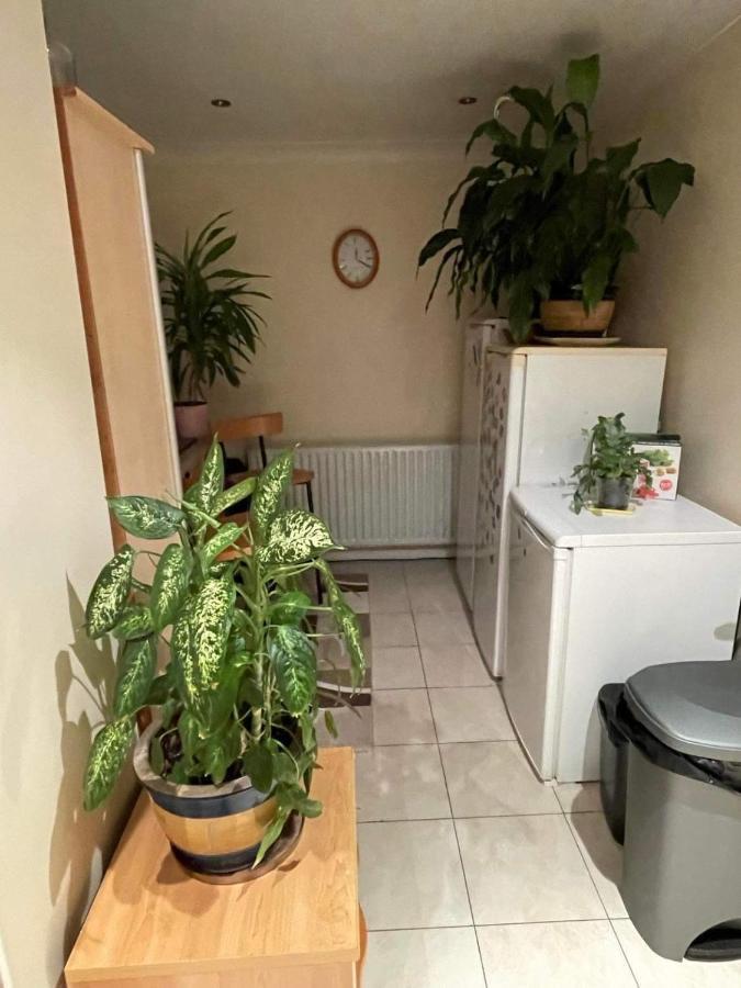 Cozy Homestay Croydon Luaran gambar